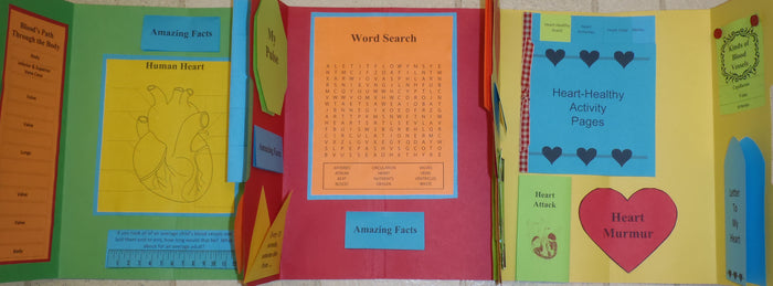 Human Heart Lapbook - PRINTED