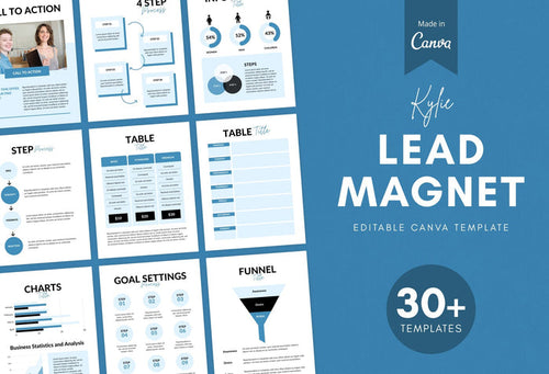 Ladystrategist Kylie Lead Magnet Editable Canva Template instagram canva templates social media templates etsy free canva templates