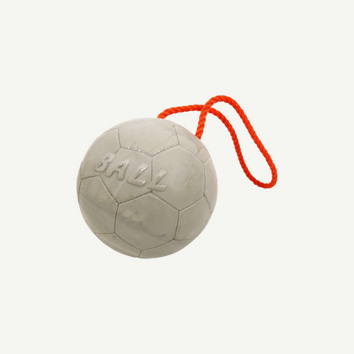 Longlife Ball