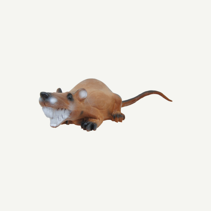 Longlife liegende Ratte