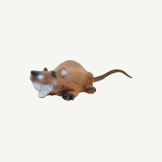 Longlife liegende Ratte