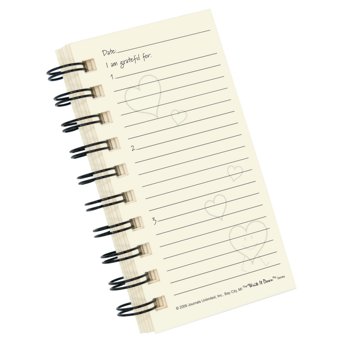 Mini -  Gratitude Journal (Color)