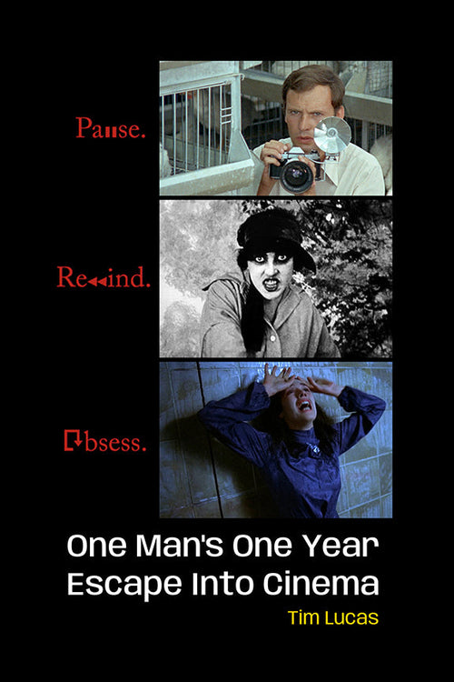 Pause. Rewind. Obsess. One Man’s One Year Escape into Cinema