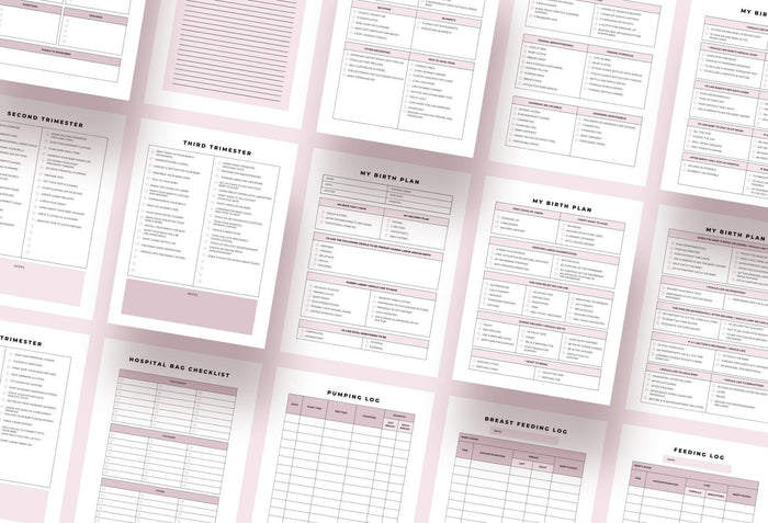 Ladystrategist Pregnancy Planner Canva Template instagram canva templates social media templates etsy free canva templates