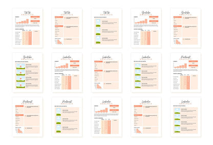 Ladystrategist Printable and Editable Social Media Audit Planner Canva Template instagram canva templates social media templates etsy free canva templates