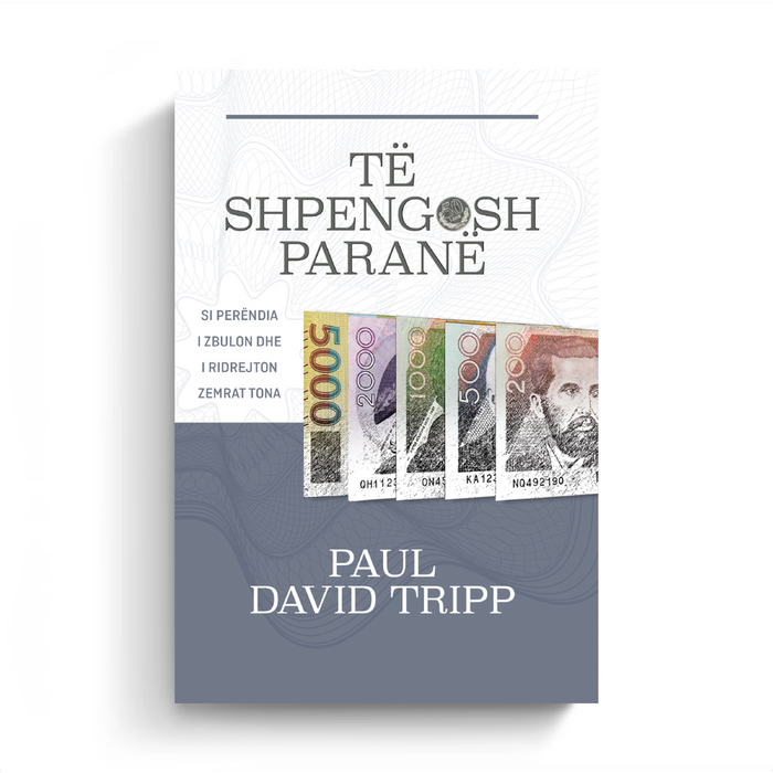 Redeeming Money (Albanian eBook)