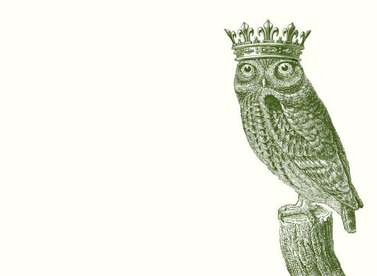 Royal Owl A6 Notes