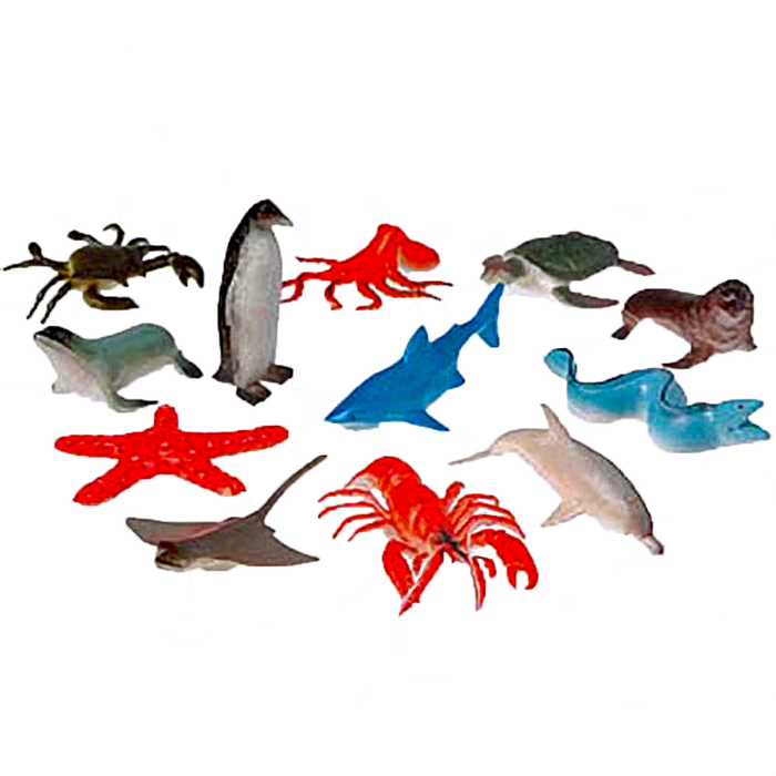 Sea Animals