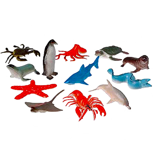 Sea Animals