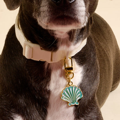 A close-up of a dog’s neck sporting The Darling Effect's Seashell Pawfect Collar Charm—a gold and turquoise seashell-shaped tag—on a white collar. The charm pops against the dog's dark brown fur and white chest patch, highlighting trendy pet accessories.