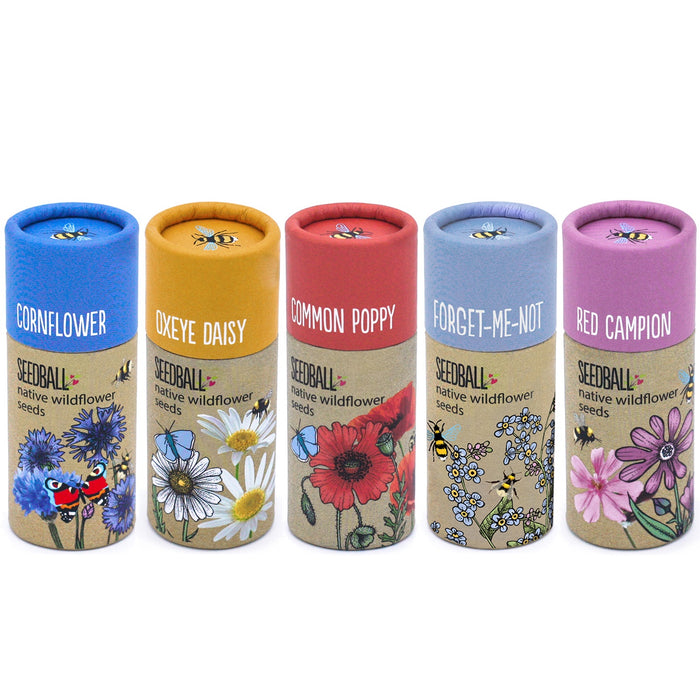 Seedball Tube