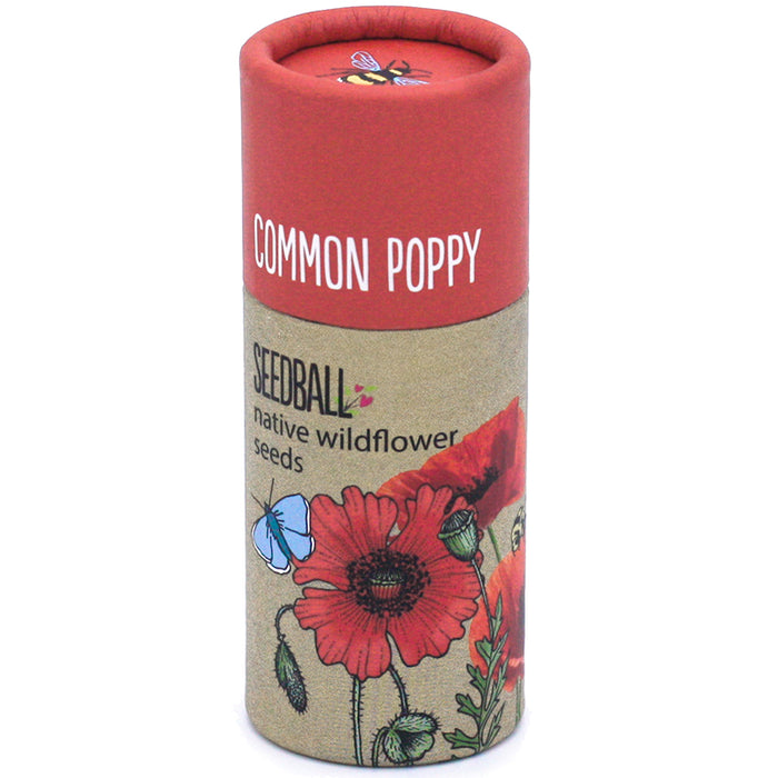Seedball Tube