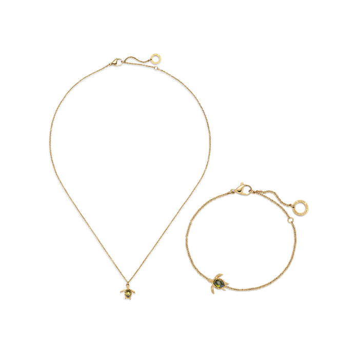Set Turtle IV Gold
