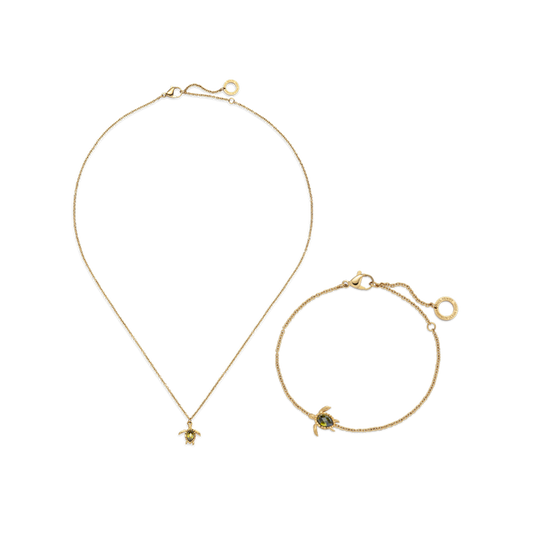 Set Turtle IV Gold