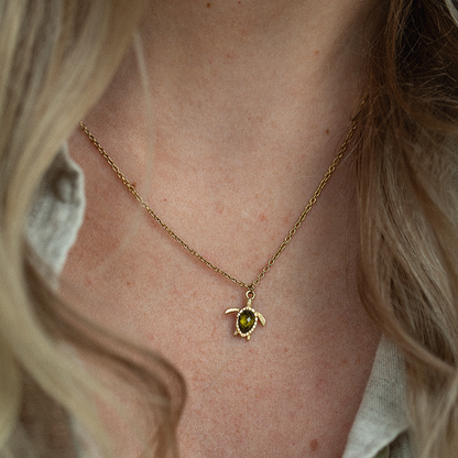 Set Turtle IV Gold