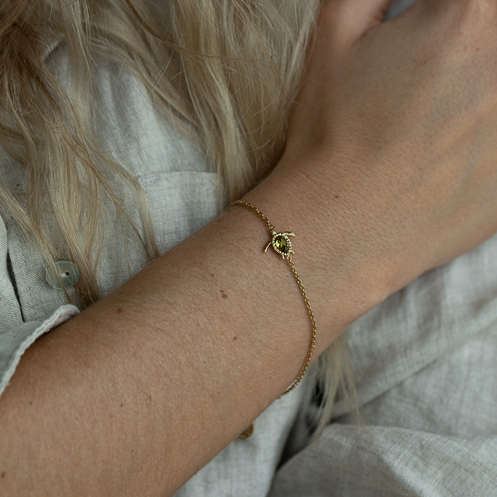Set Turtle IV Gold