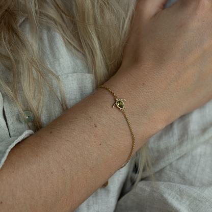 Set Turtle IV Gold