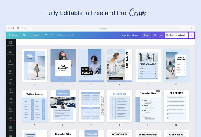 Ladystrategist Sienna Lead Magnet Editable Canva Template instagram canva templates social media templates etsy free canva templates
