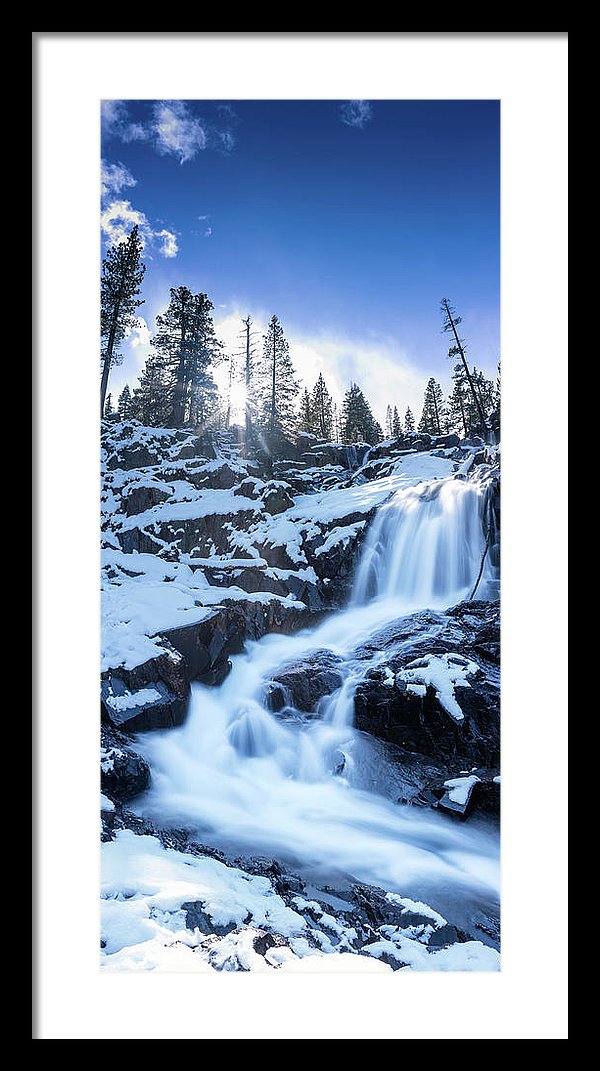 11.125" x 24.000" / Black / White