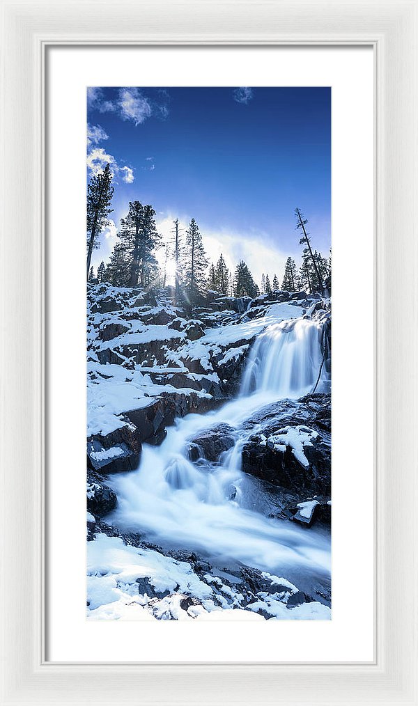 11.125" x 24.000" / White / White