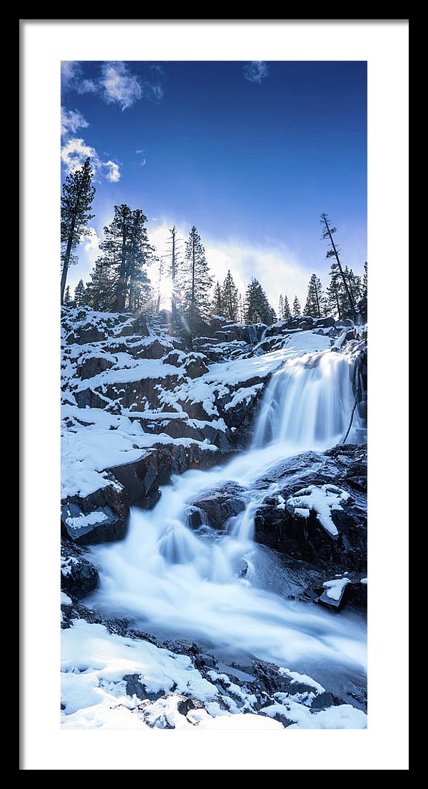 13.875" x 30.000" / Black / White