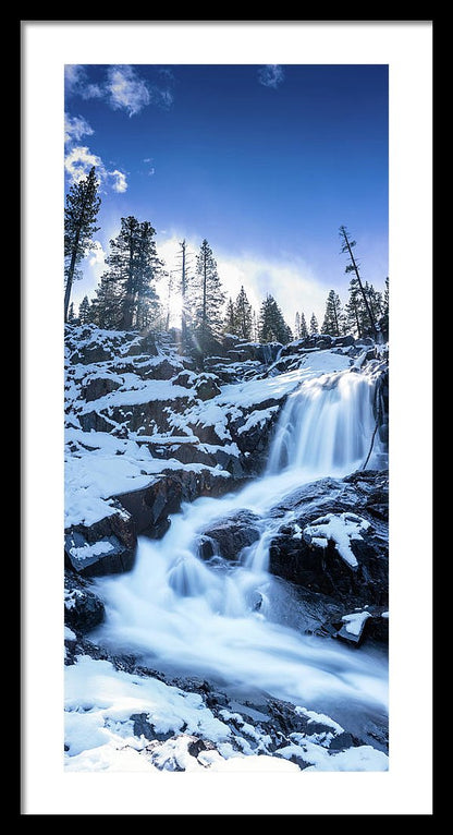 13.875" x 30.000" / Black / White