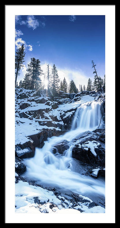 16.625" x 36.000" / Black / White