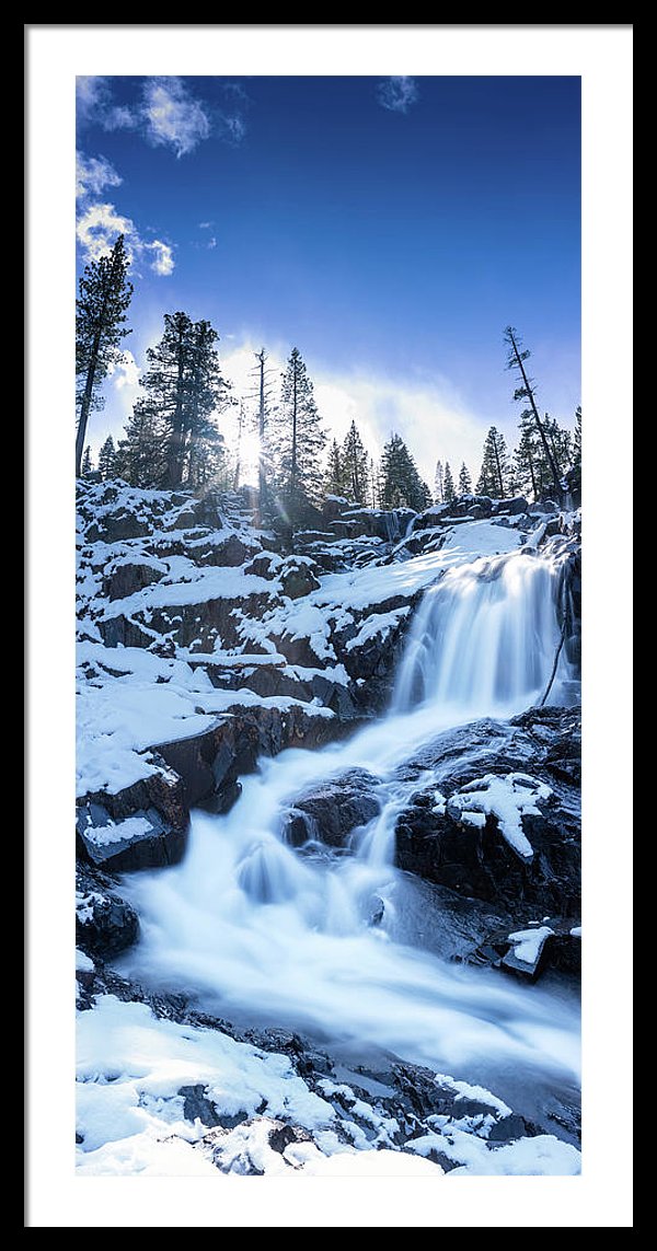 18.500" x 40.000" / Black / White