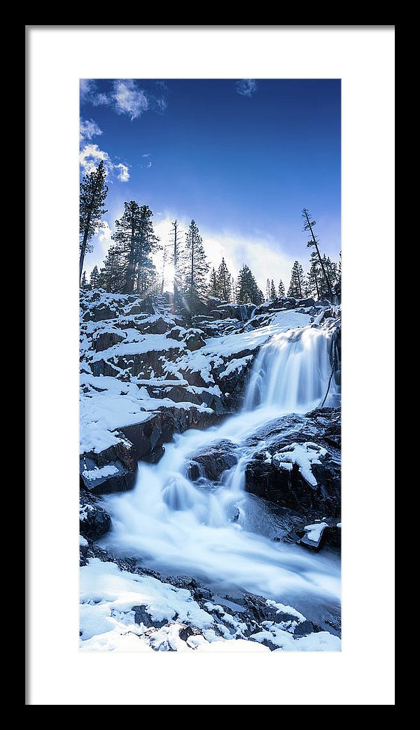 9.250" x 20.000" / Black / White