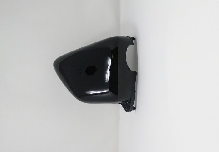 Sportster 250cc Chopper | Right Side Cover (03010667) Gloss Black