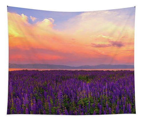 Tahoe City Lupine Sunset By Brad Scott - Tapestry