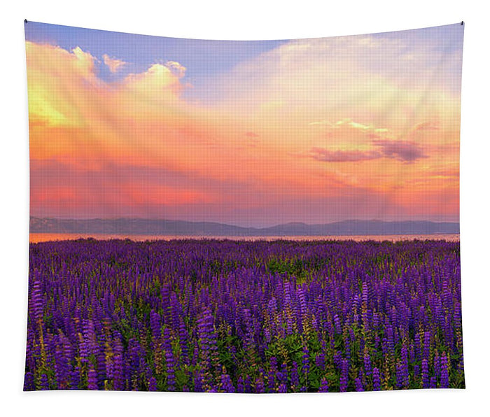Tahoe City Lupine Sunset By Brad Scott - Tapestry