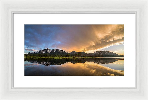 16.000" x 8.375" / White / White