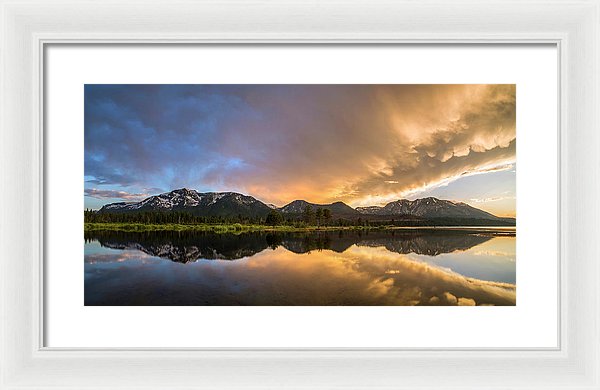 20.000" x 10.375" / White / White