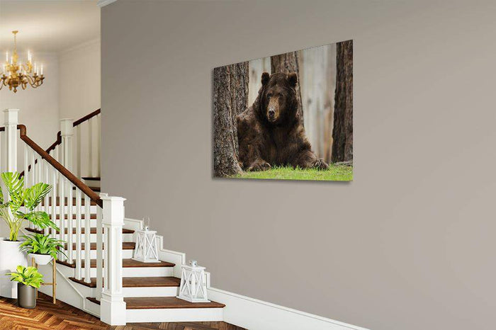 The King Of Tahoe By Brad Scott - Acrylic Print-Lake Tahoe Prints
