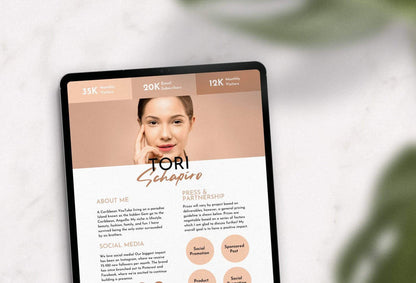 Ladystrategist Tori Schapito Media Kit Canva Template for Influencers instagram canva templates social media templates etsy free canva templates