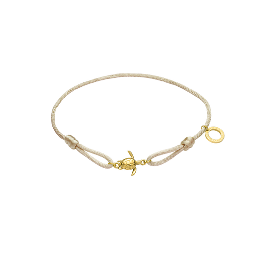 Turtle Band Sand