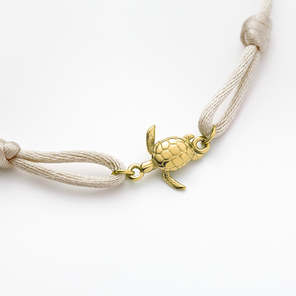 Turtle Band Sand