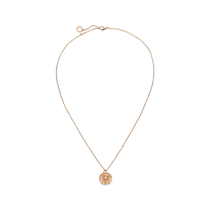 Turtle Coin Halskette Roségold