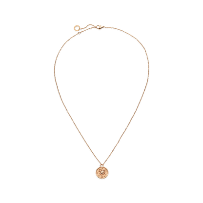 Turtle Coin Halskette Roségold