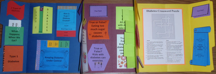 Understanding Diabetes Lapbook - PRINTED