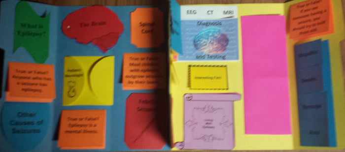 Understanding Epilepsy Lapbook - PRINTED