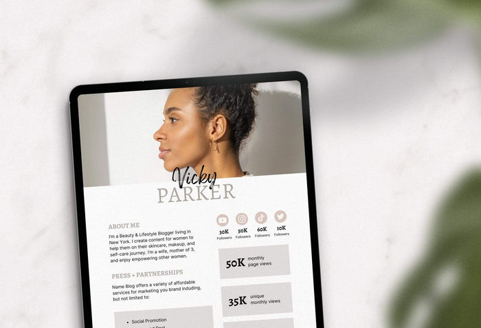Ladystrategist Vicky Media Kit Canva Template for Influencers instagram canva templates social media templates etsy free canva templates