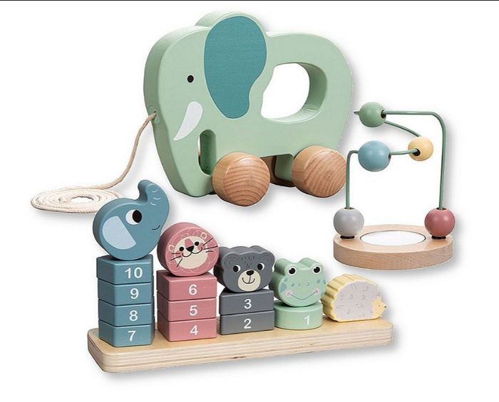 Wooden Educational Toy Trio  (PK6) BT-24-0015