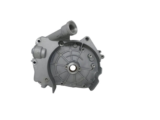 X19 200c Automatic Motorcycle | Right Cover (2.20.07.01.99000)
