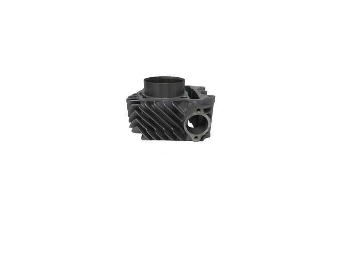 X19 200cc Automatic Motorcycle | Cylinder Block (1.20.02.09.03000)